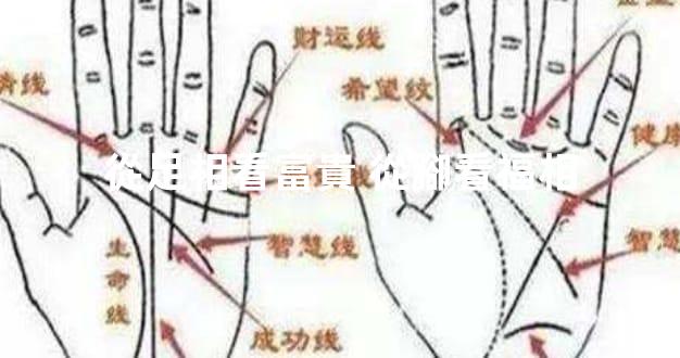 從足相看富貴 從腳看福相